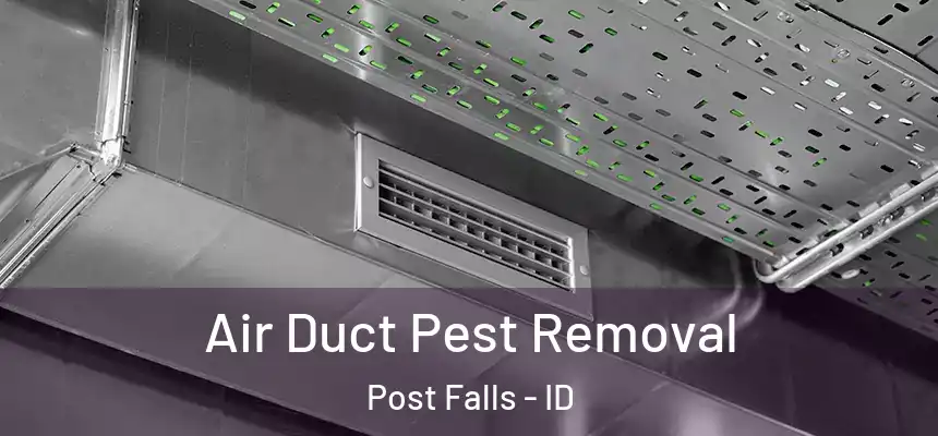 Air Duct Pest Removal Post Falls - ID