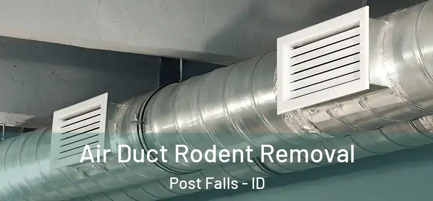 Air Duct Rodent Removal Post Falls - ID