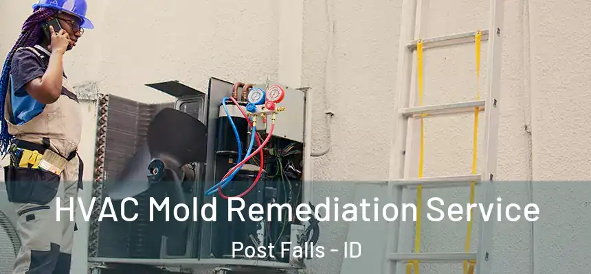  HVAC Mold Remediation Service Post Falls - ID