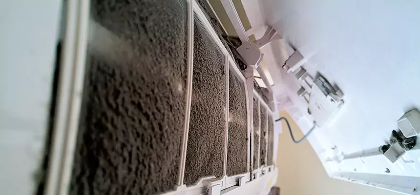 Preventive Air Duct Bacteria Removal in Post Falls