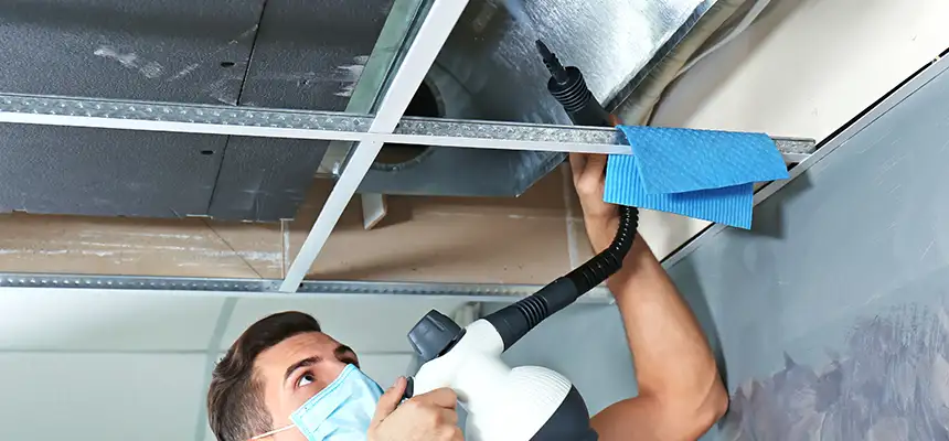 Our Air Duct Rodent Removal Services in Post Falls, ID