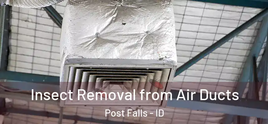Insect Removal from Air Ducts Post Falls - ID