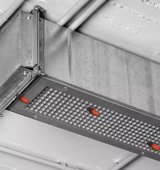 Affordable Insect Removal from Air Ducts in Post Falls, ID